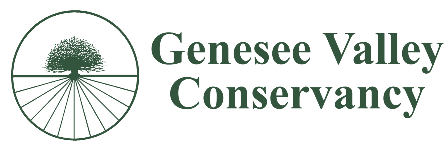 Call for Artists: Participate in the Genesee Valley 100