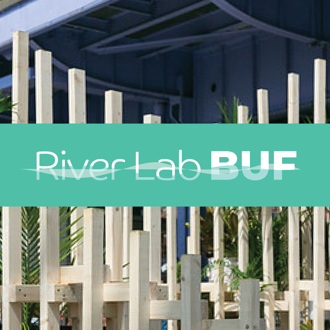 RiverLabBUF-Call-for-Proposals-IG-row2